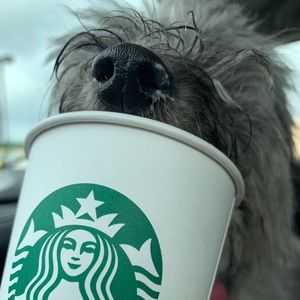 Meet your Posher, Jess